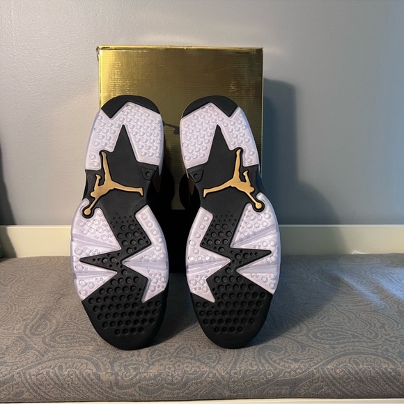 Jordan 6 Retro DMP - Picture 11 of 11